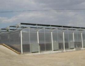PC阳光板为主体建造的连栋温室广受欢迎